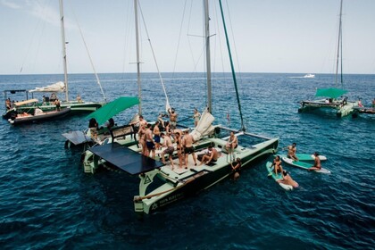 Charter Catamaran LBV 35 Málaga