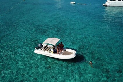 Alquiler Neumática Capelli Capelli Tempest 530 Saint-Florent