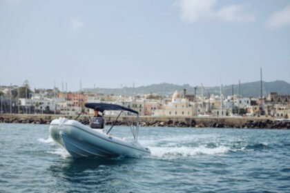 Miete Boot ohne Führerschein  Predator 570 Ischia