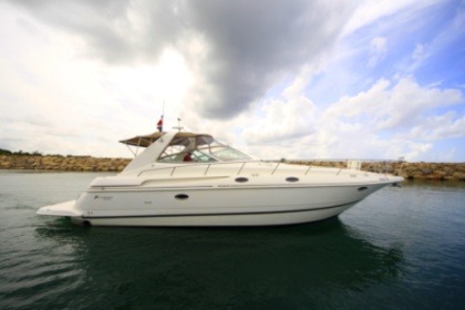 Charter Motorboat Sea Ray Soundancer La Romana
