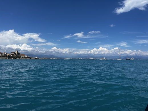 Cannes Motorboat GREENLINE NEO alt tag text