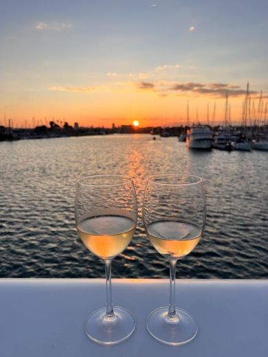 Catamaran Flashcat Valencia Cocoon boat plan