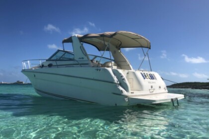 Miete Motorboot Sea Ray 290 Sun Sport Nassau