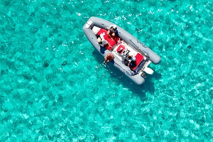 Charter RIB Bwa 550 Palau