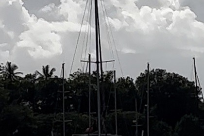 Location Catamaran Multicap Caraibes PUNCH 10.10 Le Gosier