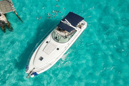 Charter Motorboat Sea Ray Sundancer Cancún