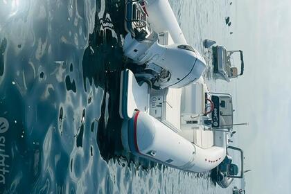 Noleggio Gommone Joker Boat Clubman 24 Golfo Aranci