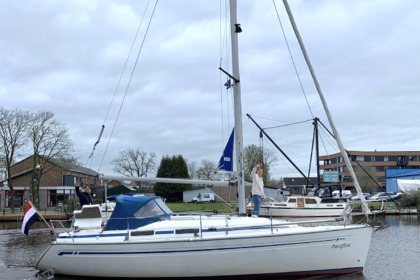 Verhuur Zeilboot Bavaria 31 Cruiser Amsterdam