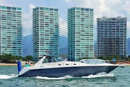 Hire Motorboat Sea Ray Sundancer 50 Puerto Vallarta