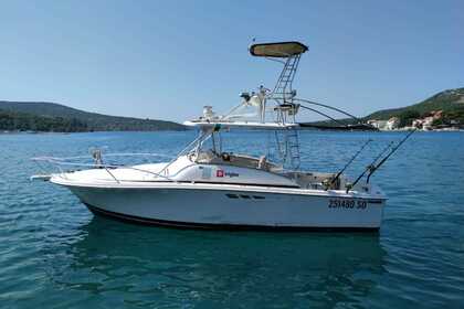 Charter Motorboat Luhrs 29 Tournament Dubrovnik