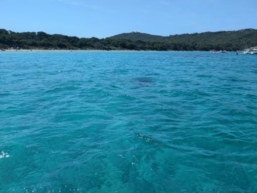 Hyères Motorboat Mar Sea Sp 120 alt tag text