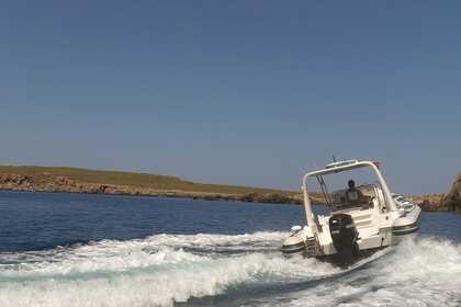 Charter RIB Astec Dayceuiser 800 Fornells, Minorca
