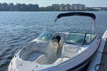 Charter Motorboat Crownline 206 LS Stockholm