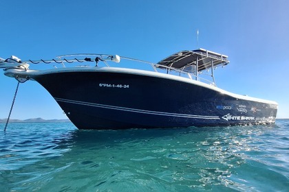 Miete Motorboot White Shark 285 Alcúdia