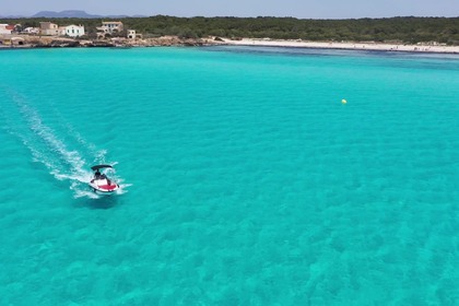 Charter Boat without licence  Remus 450 S'Estanyol de Migjorn