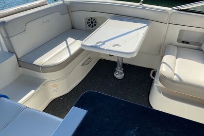 Alquiler Lancha SeaRay Sundecker Puerto Vallarta