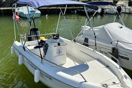 Location Bateau à moteur Sessa Marine Ocean 450 Le Bourget-du-Lac