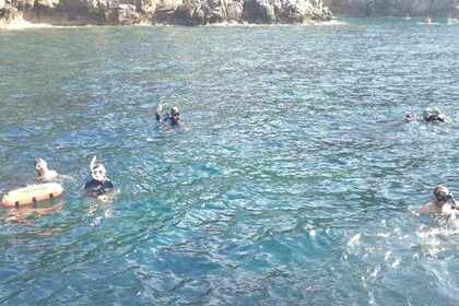 Charter Sailboat Nautic Saintonge Rorqual p74 Beaulieu-sur-Mer