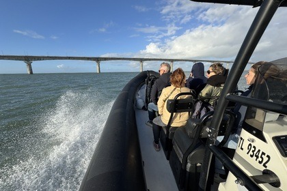 Rental RIB Narwhal Sp-900 La Rochelle