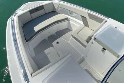 Miete Motorboot FS 290 Governador Celso Ramos