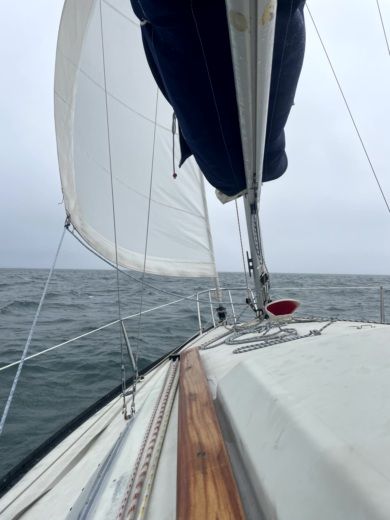 Saint-Brieuc Sailboat Dufour Dufour 1800 alt tag text