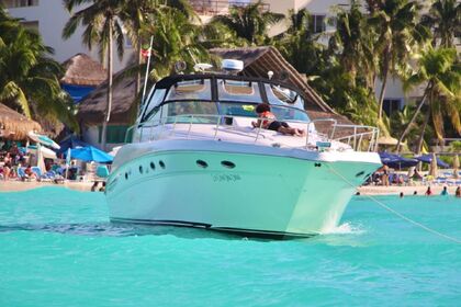 Miete Motorboot Sea Ray 46 Cancún