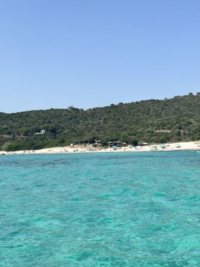 Ajaccio RIB Bsc Bsc 61 alt tag text