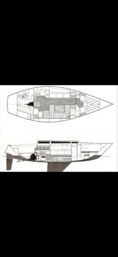 Sailboat Barberis SHOW 34 Boat layout