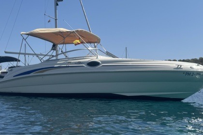 Charter Motorboat Sea Ray Sundeck 240 Palma de Mallorca