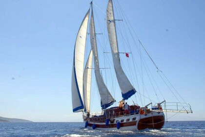 Rental Gulet Up to Date 2020 - 2000 Bodrum