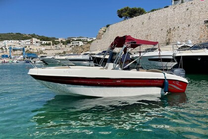 Charter Motorboat Speedy 5.90 EVO Castro Marina