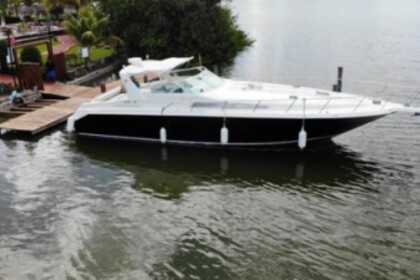 Чартер Моторная яхта Sea Ray 460 Sundancer Канкун