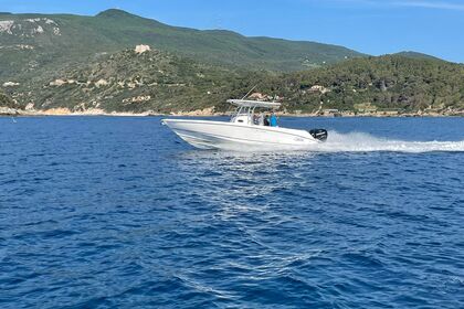 Charter Motorboat BOSTON WHALER 320 320 Monte Argentario