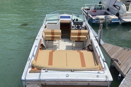 Charter Motorboat Glastron Laraya 214 Venice