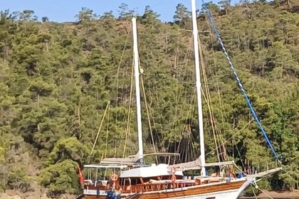 Noleggio Caicco CUSTOM 2007 Bodrum