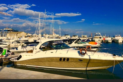 Charter Motor yacht Sea Ray 425 Limassol