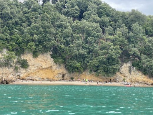 La Spezia Without license Selva Marine D540 alt tag text