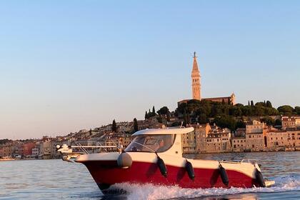 Rental Motorboat Quicksilver Arvor215 Rovinj