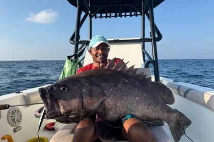 Rental Motorboat Black pearl Pearl 24 Baa Atoll