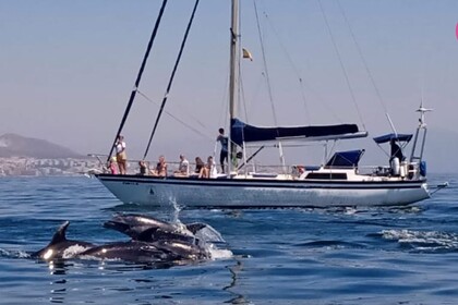 Verhuur Zeilboot Pradere&Fills ROC Fuengirola