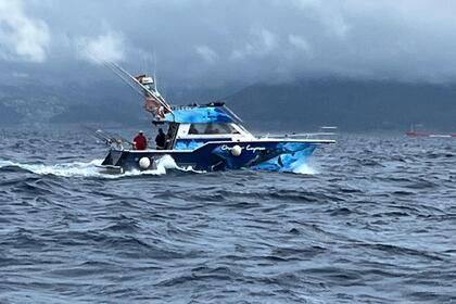 Rental Motorboat Rodman 1100 Huelva