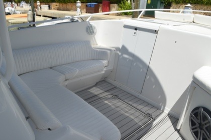 Noleggio Barca a motore INTREPID 36 La Romana