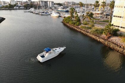 Alquiler Lancha Sea Ray 270 Mazatlán