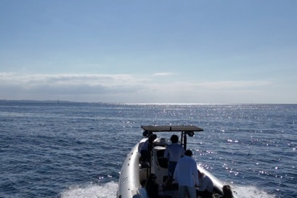 Location Semi-rigide Bsc bsc 85 Trébeurden