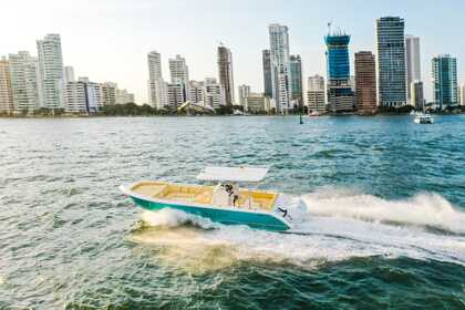 Alquiler Lancha SEA LION SINGLAR 2021 Cartagena
