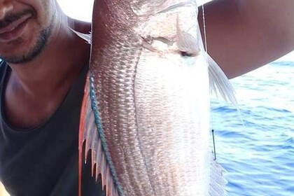 Ενοικίαση Μηχανοκίνητο σκάφος Kusadasi Fishing Kusadasi Fishing Κουσάντασι