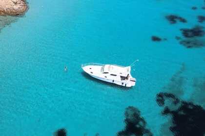 Чартер Моторная яхта Dellapasqua DC 12 Fly Ла-Маддалена