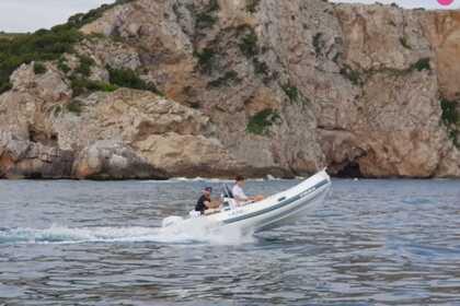 Charter Motorboat Selva Marine 470 L'Estartit
