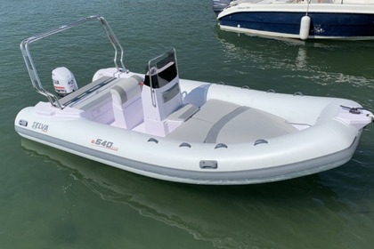 Hire Boat without licence  Selva Marine D 540 Forte dei Marmi