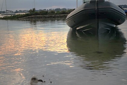 Charter RIB 3d Tender XPRO Larmor-Baden